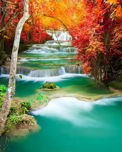 Удивительная Природа Красивый Водопад Цветного Осеннего Леса Осенний Сезон — стоковое фото