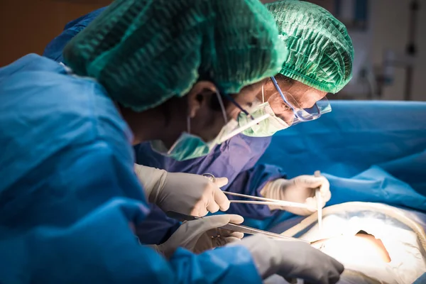 Команда Лікарів Або Хірургів Госпітальній Хірургії Працюють Екстреній Кімнаті Показують — стокове фото