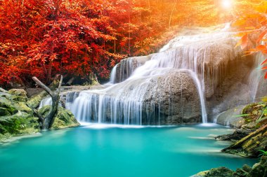 Doğada inanılmaz, sonbahar mevsiminde renkli sonbahar ormanlarında güzel şelale.  