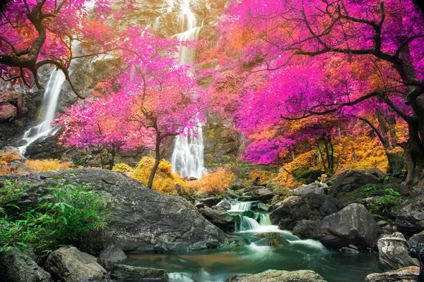 Удивительная Природа Красивый Водопад Цветного Осеннего Леса Осенний Сезон — стоковое фото