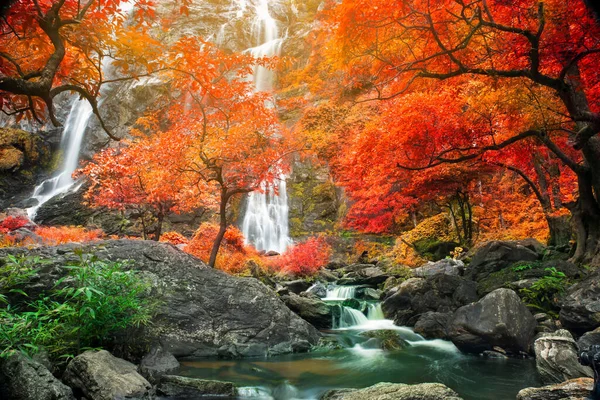 Verbazingwekkend Natuur Prachtige Waterval Bij Kleurrijk Herfstbos Het Najaar — Stockfoto