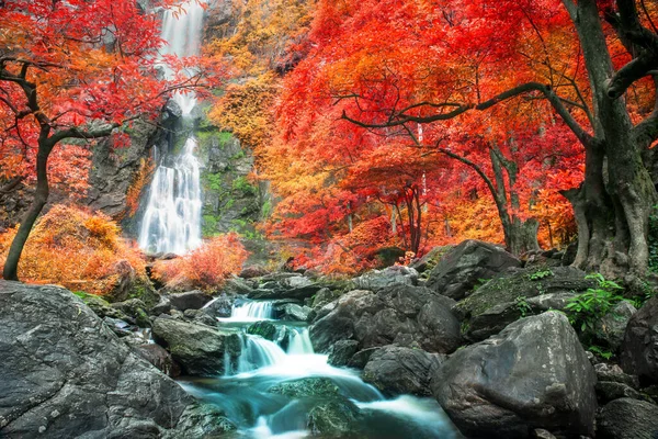 Verbazingwekkend Natuur Prachtige Waterval Bij Kleurrijk Herfstbos Het Najaar — Stockfoto