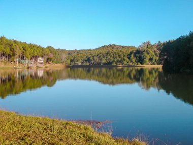 Tayland 'da Renkli Doğa Ormanı Tatilde