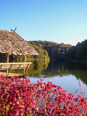 Pang Oung Ormanı, Pang Tong Kraliyet Projesi