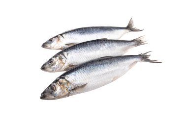 Beyaz arka planda üç ringa balığı izole edilmiş.. 