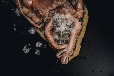 Taş bir masadaki bütün çiğ ahtapot.