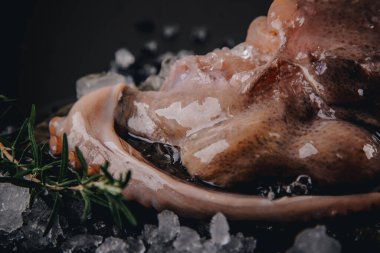 Taş bir masadaki bütün çiğ ahtapot.