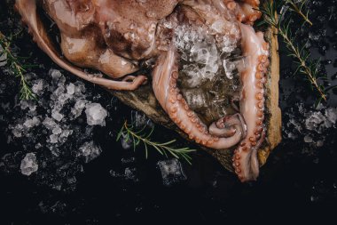 Taş bir masadaki bütün çiğ ahtapot.