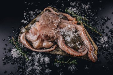 Taş bir masadaki bütün çiğ ahtapot.