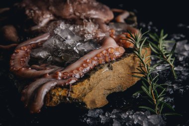 Taş bir masadaki bütün çiğ ahtapot.