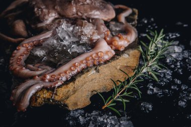 Taş bir masadaki bütün çiğ ahtapot.