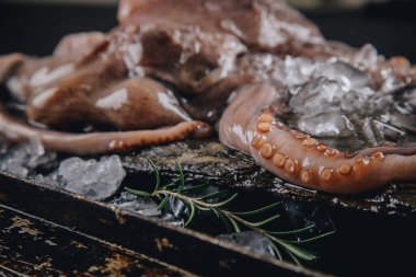 Taş bir masadaki bütün çiğ ahtapot.