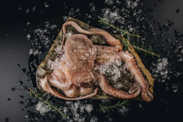 Whole Raw Octopus Stone Table — Stock Photo, Image