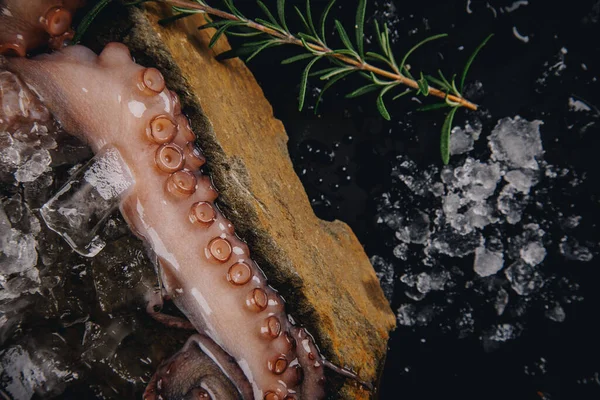 Pieuvre Crue Entière Sur Une Table Pierre — Photo