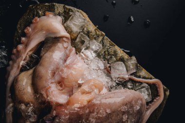 Taş bir masadaki bütün çiğ ahtapot.