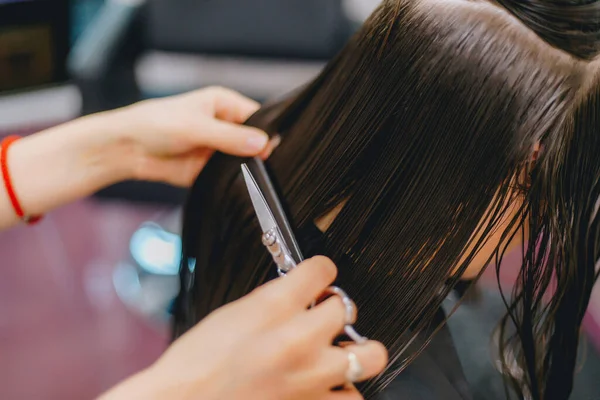 Cutting Hair Beauty Salon — Stock Photo, Image