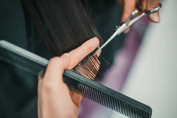 Cutting Hair Beauty Salon — Stock Photo, Image