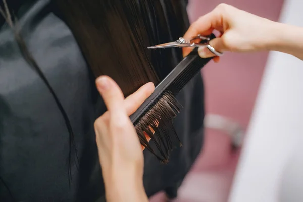 Haren Knippen Een Schoonheidssalon — Stockfoto