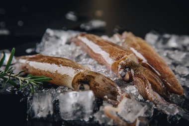 Koyu granit zemin üzerinde taze çiğ mürekkep balıkları..