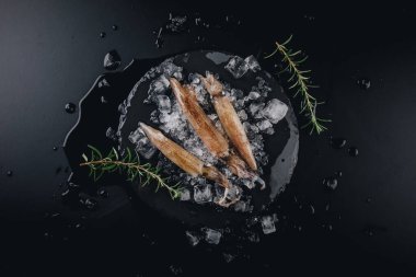 Koyu granit zemin üzerinde taze çiğ mürekkep balıkları..