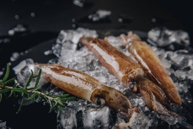 Koyu granit zemin üzerinde taze çiğ mürekkep balıkları..
