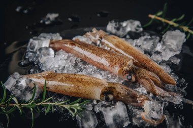 Koyu granit zemin üzerinde taze çiğ mürekkep balıkları..