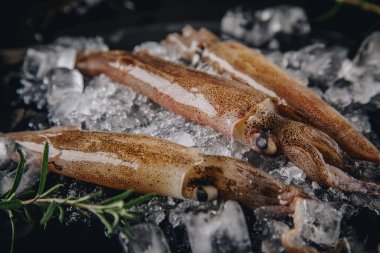 Koyu granit zemin üzerinde taze çiğ mürekkep balıkları..