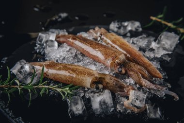 Koyu granit zemin üzerinde taze çiğ mürekkep balıkları..