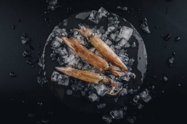 Koyu granit zemin üzerinde taze çiğ mürekkep balıkları..