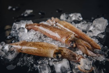 Koyu granit zemin üzerinde taze çiğ mürekkep balıkları..