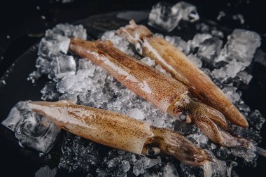Koyu granit zemin üzerinde taze çiğ mürekkep balıkları..