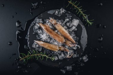 Koyu granit zemin üzerinde taze çiğ mürekkep balıkları..