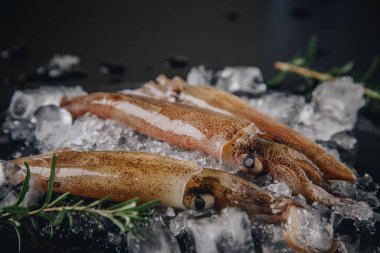 Koyu granit zemin üzerinde taze çiğ mürekkep balıkları..