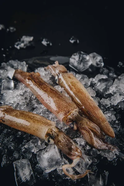 Koyu granit zemin üzerinde taze çiğ mürekkep balıkları..
