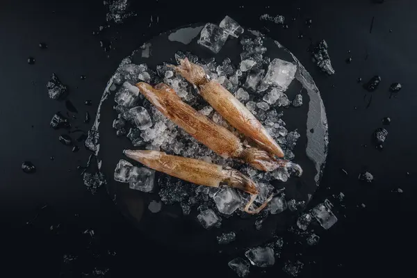 Koyu granit zemin üzerinde taze çiğ mürekkep balıkları..