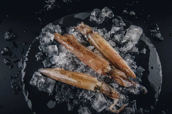 Koyu granit zemin üzerinde taze çiğ mürekkep balıkları..