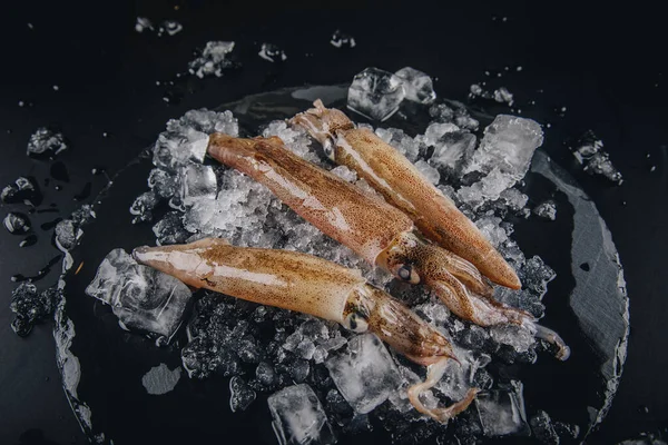 Koyu granit zemin üzerinde taze çiğ mürekkep balıkları..