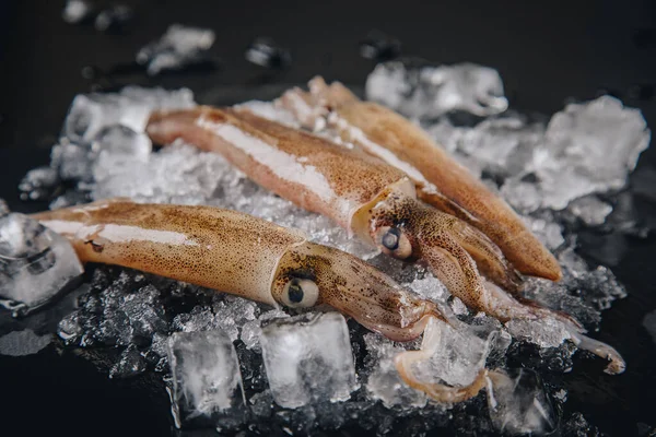 Koyu granit zemin üzerinde taze çiğ mürekkep balıkları..