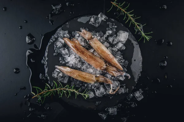 Koyu granit zemin üzerinde taze çiğ mürekkep balıkları..