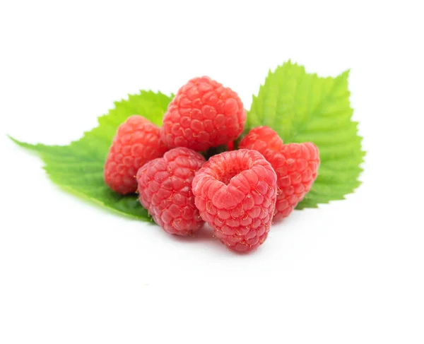 Raspberries Leaves White Background — Stock Photo, Image