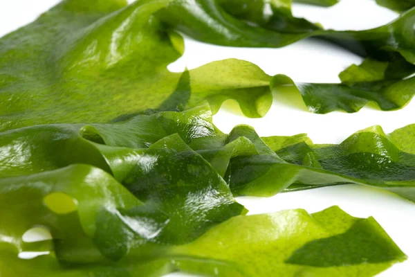 Wakame Algues Fraîches Isolé Sur Fond Blanc Nourriture Japonaise — Photo