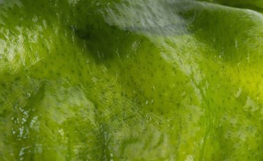 Taze yeşil deniz yosunu uyandırma dokusu. Japon yemeği.