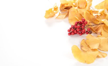 Sonbahar kompozisyonu. Ginkgo yaprakları ve beyaz arka planda izole edilmiş çilekler.