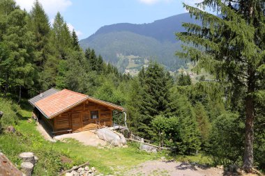 Trento, İtalya - 07 / 25 / 2019: Trentino Alto Adige ormanındaki dağ kulübesi, İtalya