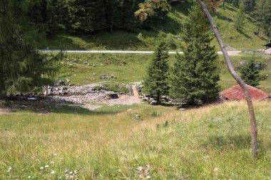 Trento, İtalya - 07 / 25 / 2019: Trentino Alto Adige ormanındaki dağ kulübesi, İtalya