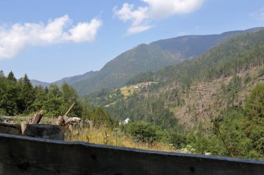 İtalya, Trentino Alto Adige 'de orman ve doğa