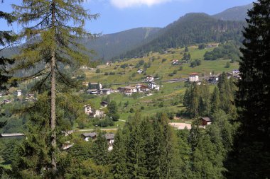 İtalya, Trentino Alto Adige 'de orman ve doğa