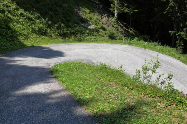 Bosco Natura Trentino Alto Adige Italia — Foto Stock