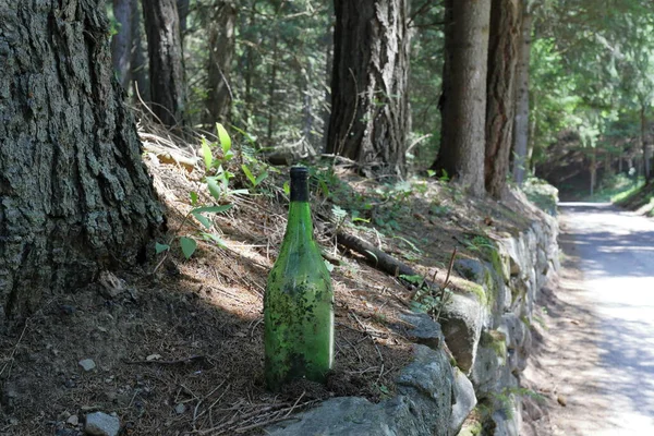 Flaska Vin Övergivet Skogen — Stockfoto