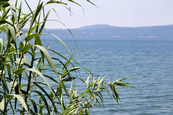 Vue Depuis Les Rives Lac Bracciano Italie — Photo